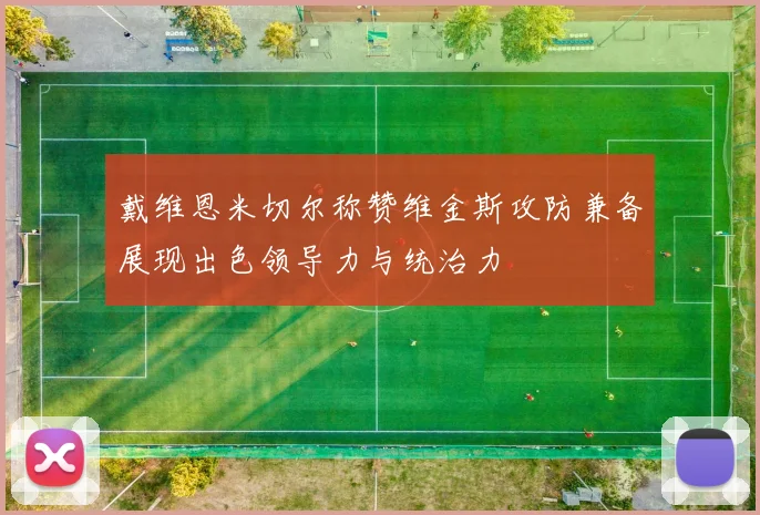 戴维恩米切尔称赞维金斯攻防兼备展现出色领导力与统治力